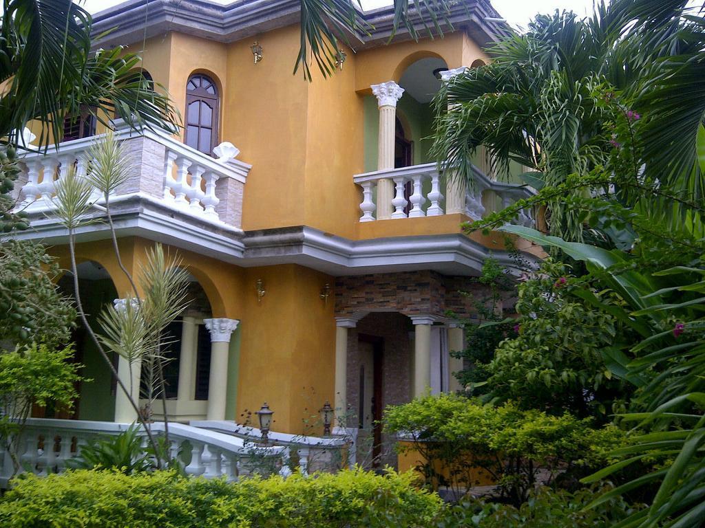 Eddies Tigress 2 Negril Room photo